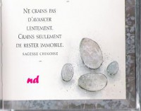 /album/galerie-de-photos-stage-d-ete/sagesse-chinoise-jpg1/